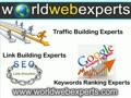 Local SEO Company - Hire SEO Experts - Google Local Business SEO